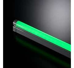 31GX0q7w-+L._SX240_SY220_CR,0,